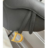 Сумка Dior Saddle