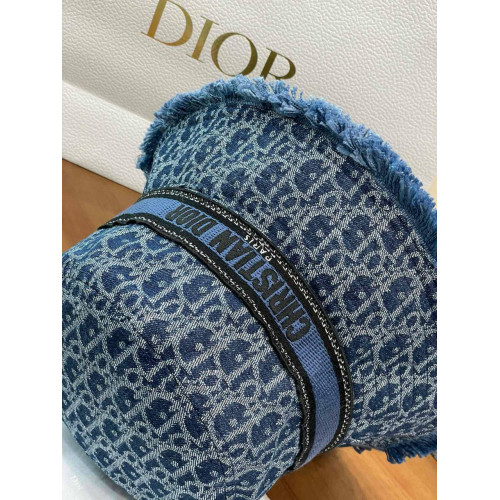 Панама Christian Dior