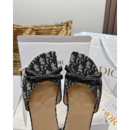 Шлепанцы Dior